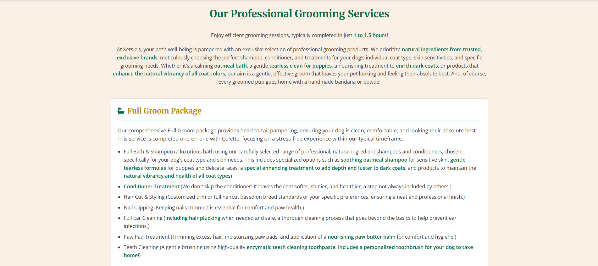 Ketsie's Website Service Section Detail 1