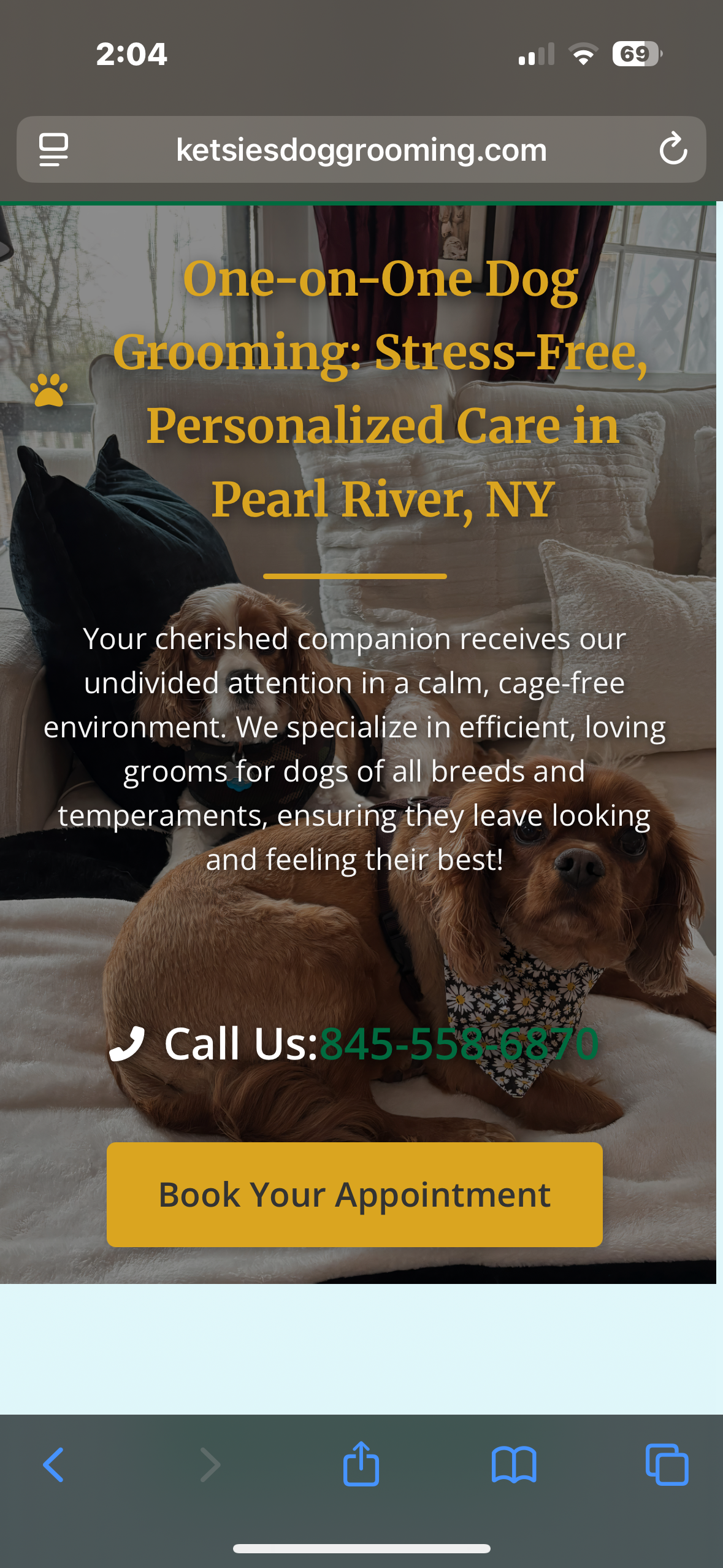 Ketsie's Dog Grooming Website on Mobile